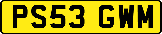 PS53GWM