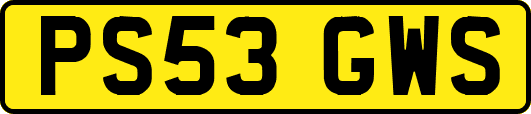 PS53GWS