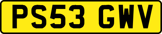 PS53GWV