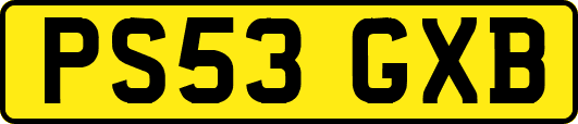 PS53GXB