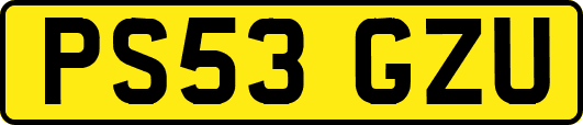 PS53GZU