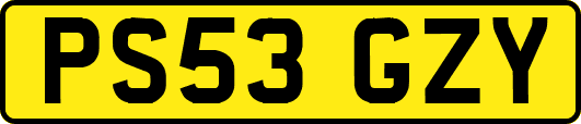 PS53GZY