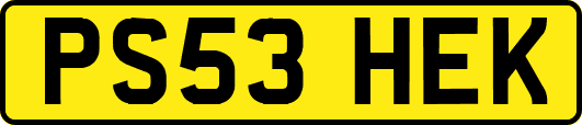 PS53HEK