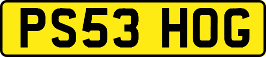 PS53HOG