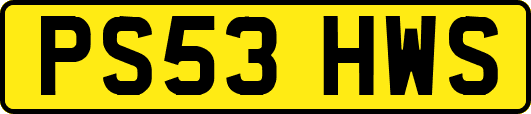 PS53HWS