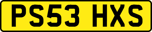 PS53HXS