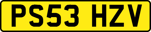 PS53HZV