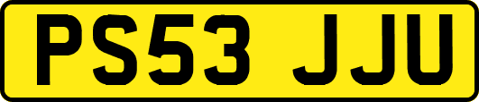 PS53JJU