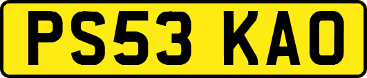 PS53KAO