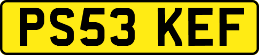 PS53KEF