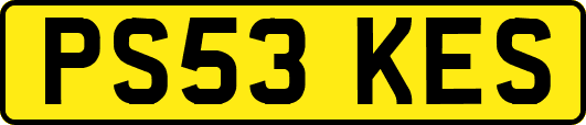 PS53KES