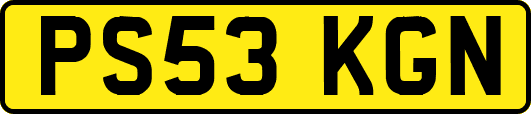 PS53KGN