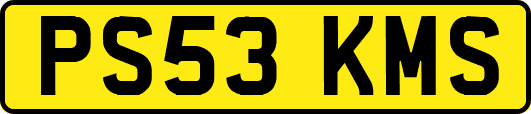 PS53KMS