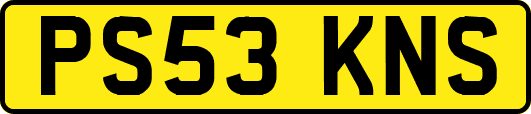 PS53KNS