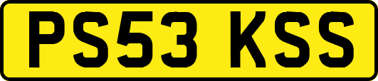 PS53KSS