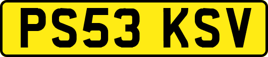 PS53KSV