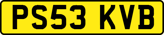 PS53KVB