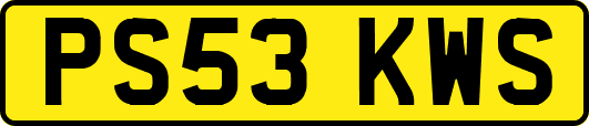 PS53KWS