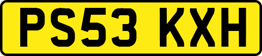 PS53KXH