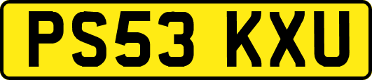 PS53KXU