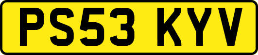 PS53KYV