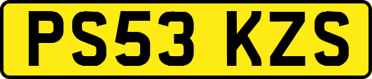 PS53KZS