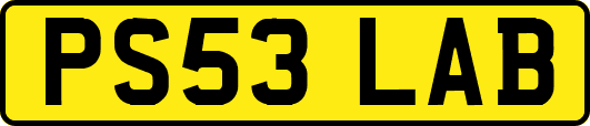 PS53LAB