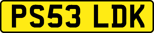 PS53LDK
