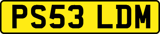 PS53LDM