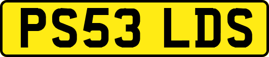PS53LDS