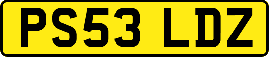 PS53LDZ