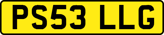 PS53LLG