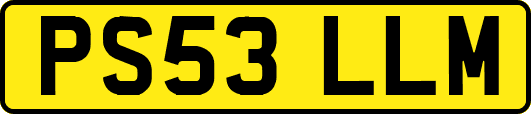 PS53LLM