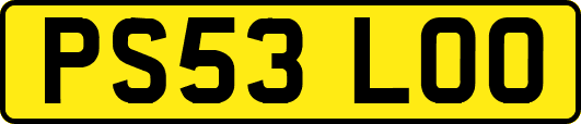PS53LOO