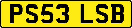 PS53LSB