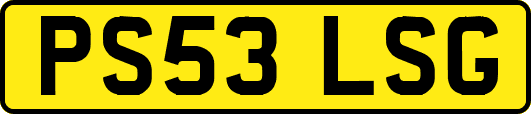 PS53LSG