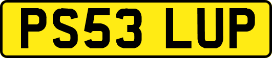 PS53LUP