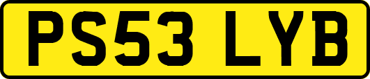 PS53LYB