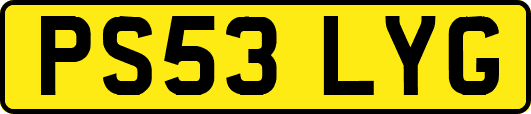 PS53LYG
