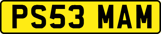 PS53MAM
