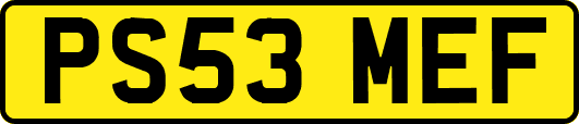 PS53MEF