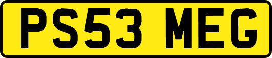 PS53MEG