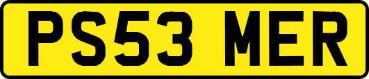 PS53MER