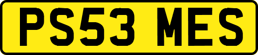 PS53MES