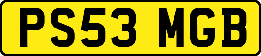 PS53MGB