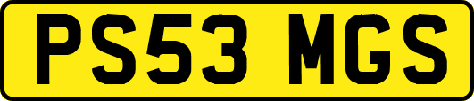 PS53MGS