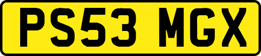 PS53MGX