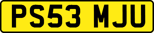 PS53MJU