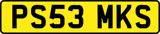 PS53MKS