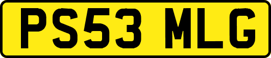 PS53MLG